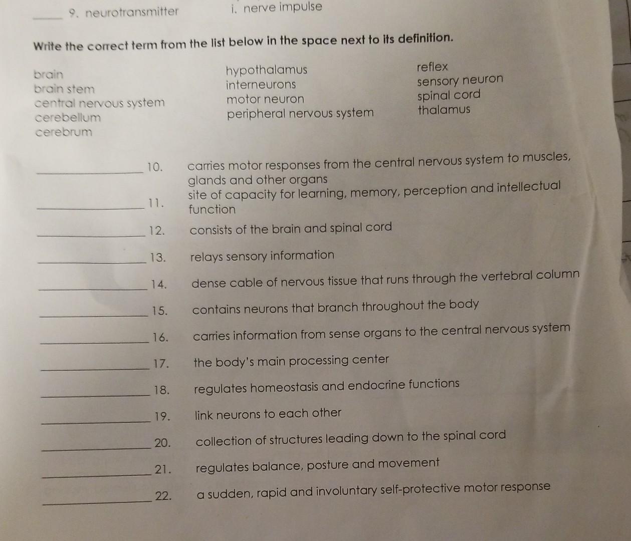 9 Neurotransmitter Write The Correct Term From The List Below In The Space Next To Its Definition Hypothalamus Interne 1