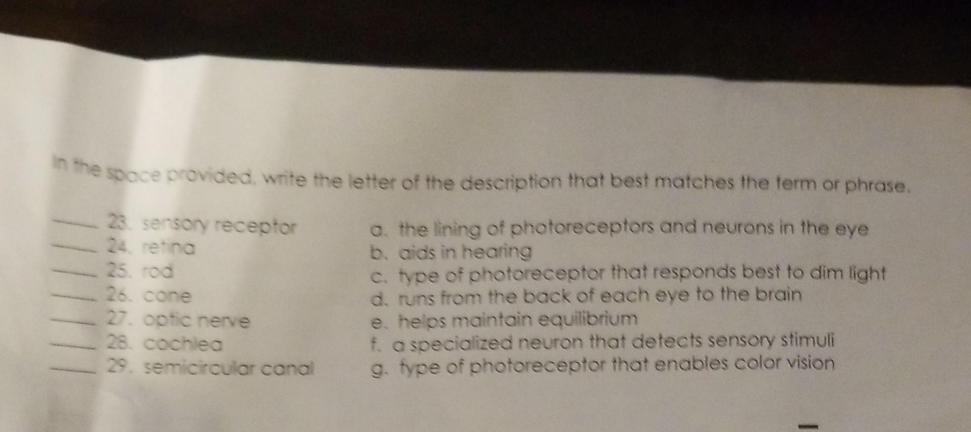 In The Space Provided Write The Letter Of The Description That Best Matches The Term Or Phrase A The Lining Of Photor 1