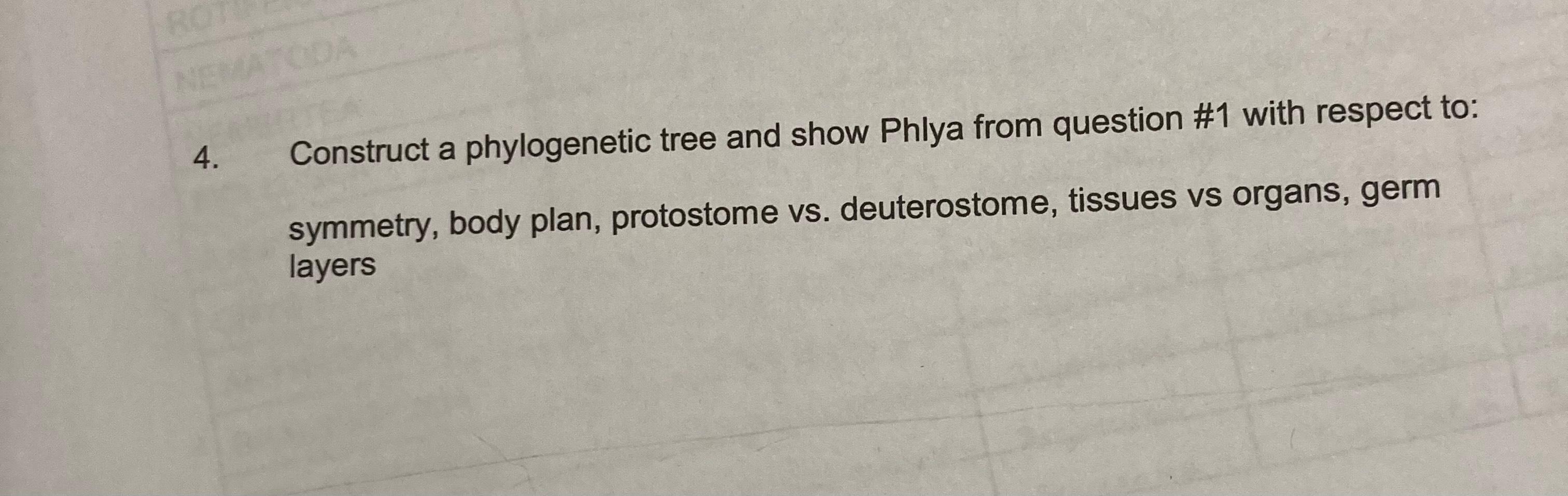 Nematoda 4 Construct A Phylogenetic Tree And Show Phlya From Question 1 With Respect To Symmetry Body Plan Protosto 1