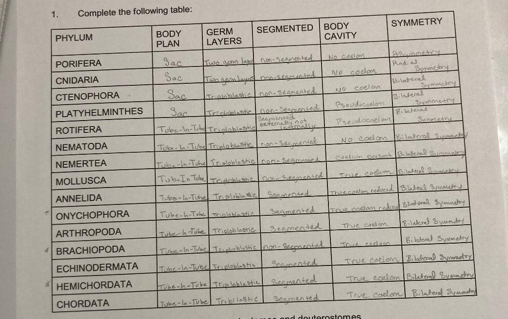 1 Complete The Following Table Phylum Porifera Cnidaria Ctenophora Platyhelminthes Rotifera Nematoda Nemertea Mollusca 1