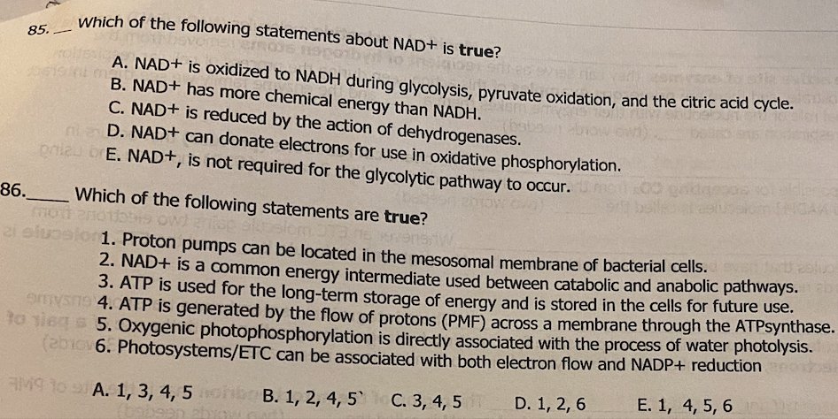 85 Which Of The Following Statements About Nad Is True 5121036 11spo A Nad Is Oxidized To Nadh During Glycolysis 1
