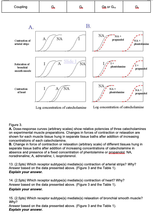 Answer Questions 13 Through 16 Using The Data Presented Below In Fig 3 And Based On The Information In The Table 2