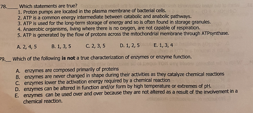 78 Which Statements Are True Shotdosen To Anyes Erll Sedin 1 Proton Pumps Are Located In The Plasma Membrane Of Bacte 1