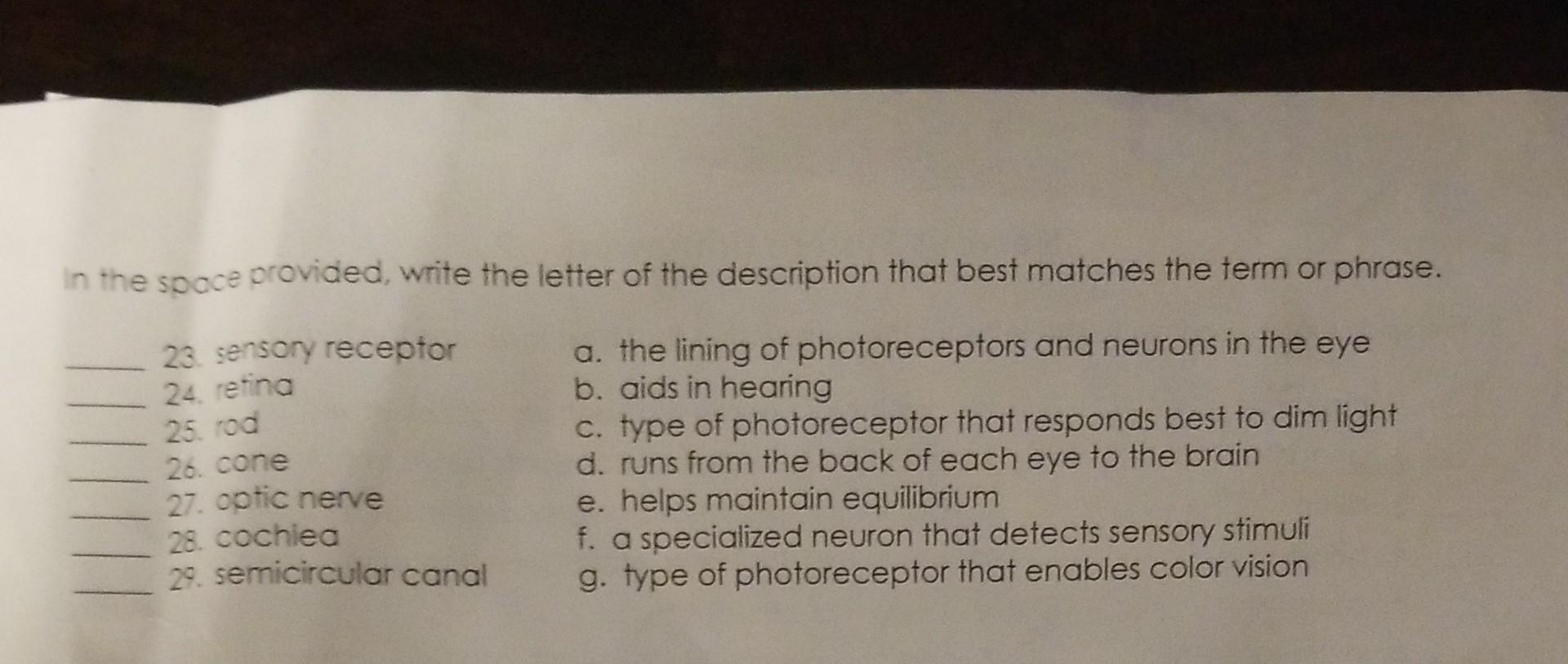 In The Space Provided Write The Letter Of The Description That Best Matches The Term Or Phrase 23 Sensory Receptor 24 1