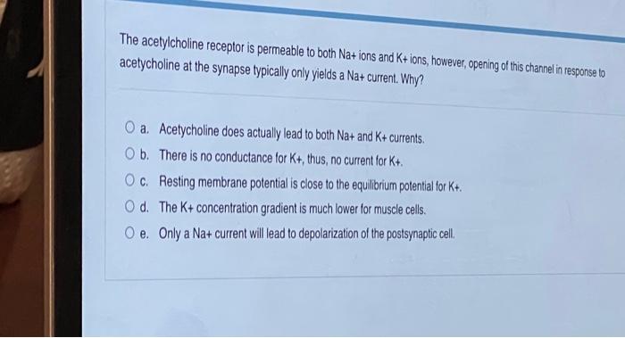 The Acetylcholine Receptor Is Permeable To Both Na Ions And K Ions However Opening Of This Channel In Response To Ac 2