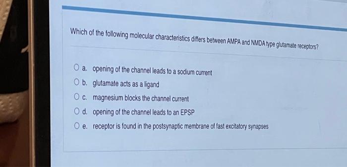 The Acetylcholine Receptor Is Permeable To Both Na Ions And K Ions However Opening Of This Channel In Response To Ac 4