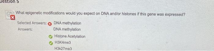 Look At The Dna Below Potential Tata Boxes And The Kozack Sequence Are In Bold N 1 G T A 3 5 Ta At Cgtta T T Agcaat A 3