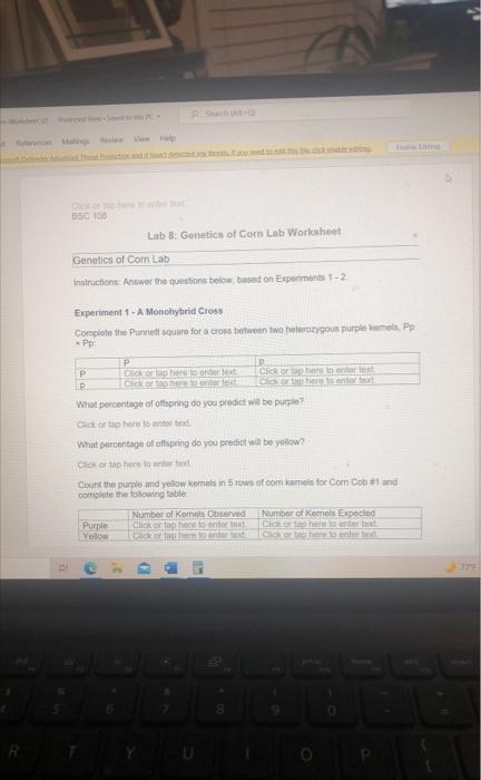 Ber 2 Tected Spc E Click Of The Su B5c 108 Genetics Of Com Lab Instructions Answer The Questions Below Based On Expe 1