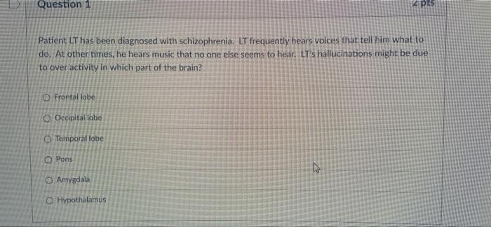 Question 1 Patient Lt Has Been Diagnosed With Schizophrenia Lt Frequently Hears Voices That Tell Him What To Do At Oth 1