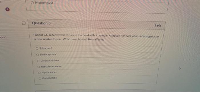 Question 1 Patient Lt Has Been Diagnosed With Schizophrenia Lt Frequently Hears Voices That Tell Him What To Do At Oth 5