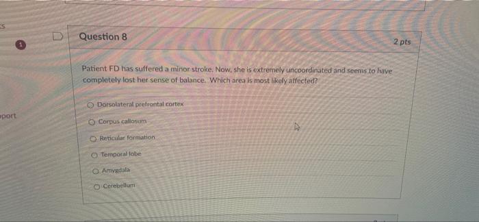 Question 1 Patient Lt Has Been Diagnosed With Schizophrenia Lt Frequently Hears Voices That Tell Him What To Do At Oth 8