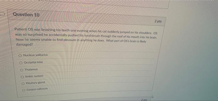 Question 1 Patient Lt Has Been Diagnosed With Schizophrenia Lt Frequently Hears Voices That Tell Him What To Do At Oth 10