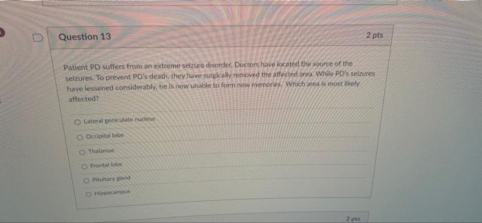 Question 1 Patient Lt Has Been Diagnosed With Schizophrenia Lt Frequently Hears Voices That Tell Him What To Do At Oth 13