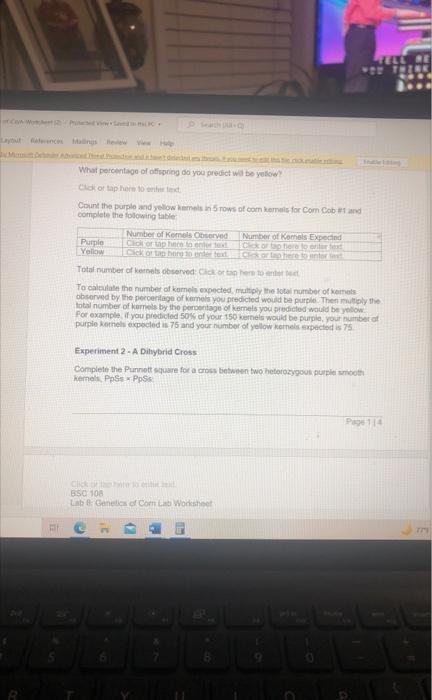 Co Worket Pvc El Search C What Percentage Of Offspring Do You Predict Will Be Yellow Click Or Tap Here To Enter Text Co 1