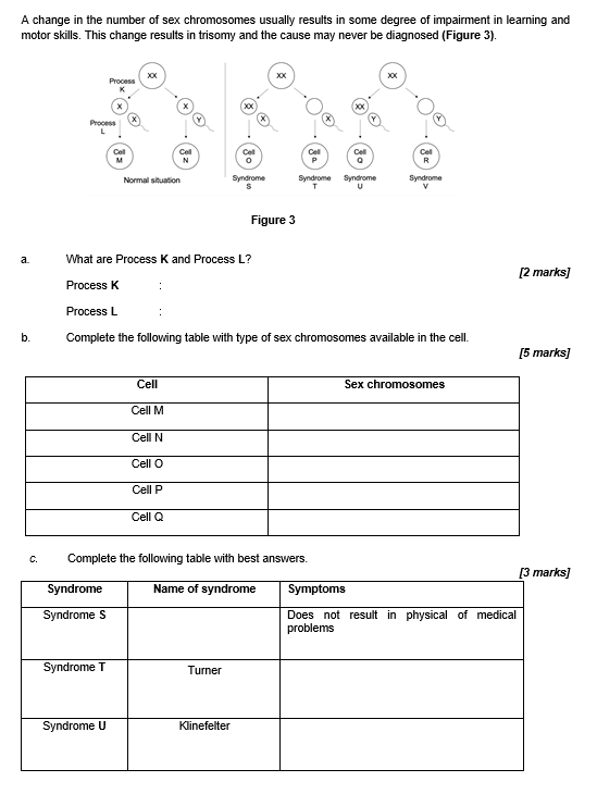 A Change In The Number Of Sex Chromosomes Usually Results In Some Degree Of Impairment In Learning And Motor Skills Thi 1
