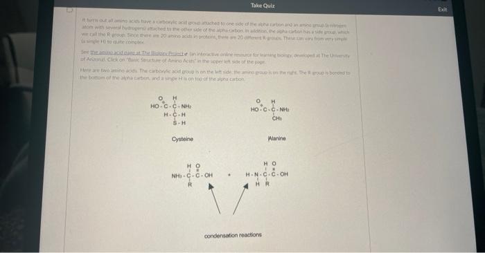 It Hus Out All Amino Acids Have A Carbonic Acid God Attached To One Side Of The Atha Carbon And An Anino Mula Atom With 1