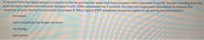 A 1hz Stimulation Of A Pre Synaptic Cell Is Being Used To Study An Excitatory Synapse At A Dendritic Spine Over Time Wh 2