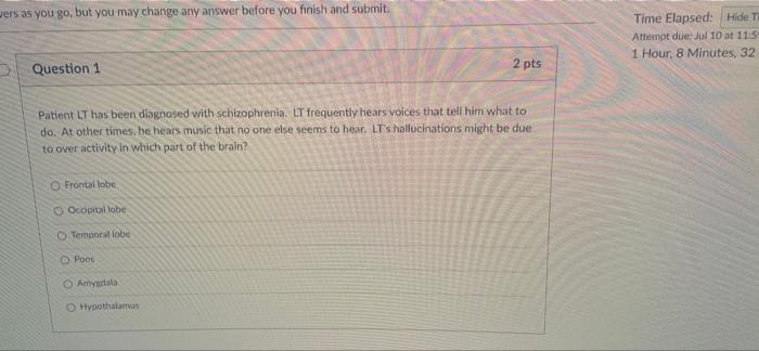 Wers As You Go But You May Change Any Answer Before You Finish And Submit Question 1 Patient Lt Has Been Diagnosed Wit 1