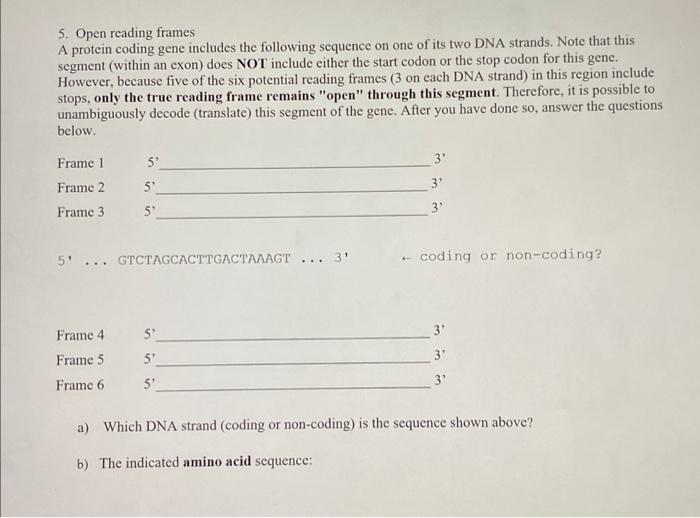 5 Open Reading Frames A Protein Coding Gene Includes The Following Sequence On One Of Its Two Dna Strands Note That Th 1