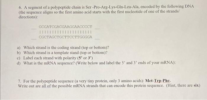 6 A Segment Of A Polypeptide Chain Is Ser Pro Arg Lys Gln Leu Ala Encoded By The Following Dna The Sequence Aligns So 1