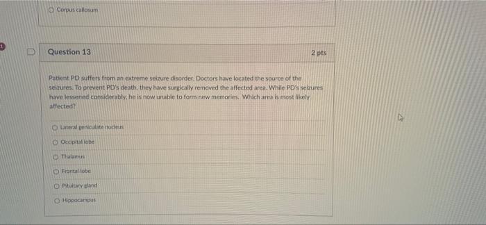 Corpus Callosum Question 13 Patient Pd Suffers From An Extreme Seizure Disorder Doctors Have Located The Source Of The 1