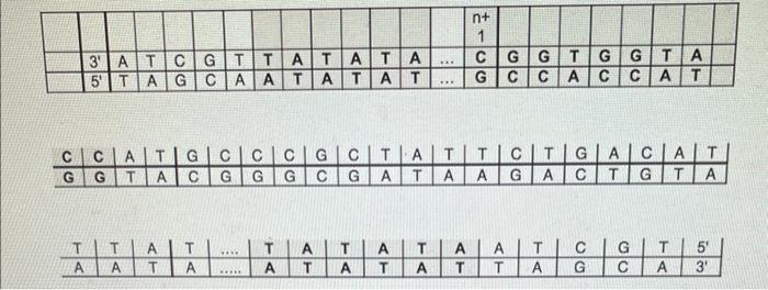 Estion 5 What Epigenetic Modifications Would You Expect On Dna And Or Histones If This Gene Was Expressed Dna Methylati 3