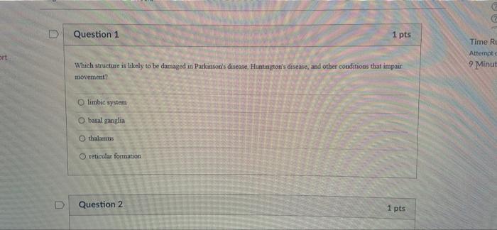 D Question 1 Which Structure Is Likely To Be Damaged In Parkinson S Disease Huntington S Disease And Other Conditions 1