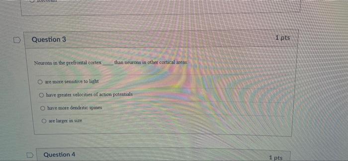 D Question 1 Which Structure Is Likely To Be Damaged In Parkinson S Disease Huntington S Disease And Other Conditions 3