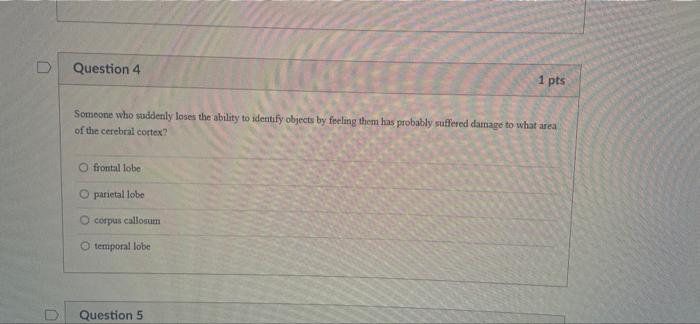 D 0 Question 4 Someone Who Suddenly Loses The Ability To Identify Objects By Feeling Them Has Probably Suffered Damage T 1