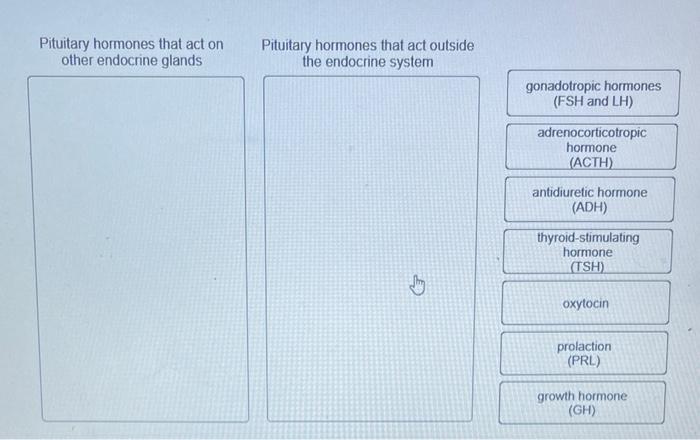 Pituitary Hormones That Act On Other Endocrine Glands Pituitary Hormones That Act Outside The Endocrine System Gonadotro 1