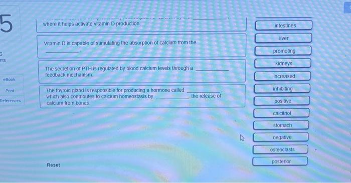 Book Print Erences Place The Correct Word S In Each Sentence To Assess Your Understanding Of The Characteristics Of The 2