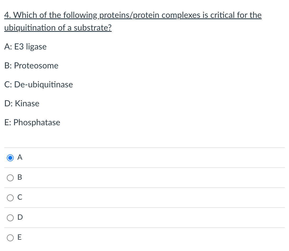 4 Which Of The Following Proteins Protein Complexes Is Critical For The Ubiquitination Of A Substrate A E3 Ligase B 1