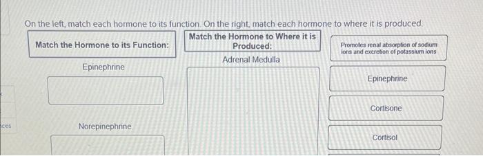 Ces On The Left Match Each Hormone To Its Function On The Right Match Each Hormone To Where It Is Produced Match The 1
