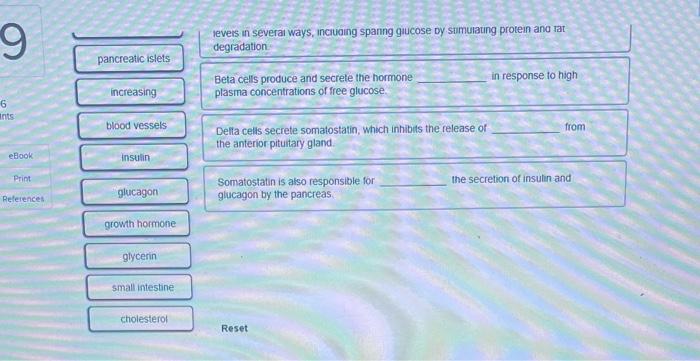 Place The Correct Word S In Each Sentence To Assess Your Understanding Of The Role Of The Pancreas As An Endocrine And 2