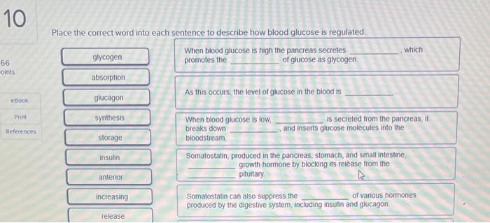 10 66 Oints Ebook Print References Place The Correct Word Into Each Sentence To Describe How Blood Glucose Is Regulated 1