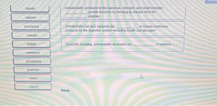 10 66 Oints Ebook Print References Place The Correct Word Into Each Sentence To Describe How Blood Glucose Is Regulated 2