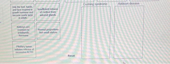 Ok Nt Ences Classify Each Of The Following Statements According To The Endocrine System Disorder It Describes Diabetes 2