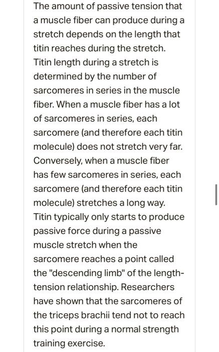The Amount Of Passive Tension That A Muscle Fiber Can Produce During A Stretch Depends On The Length That Titin Reaches 2