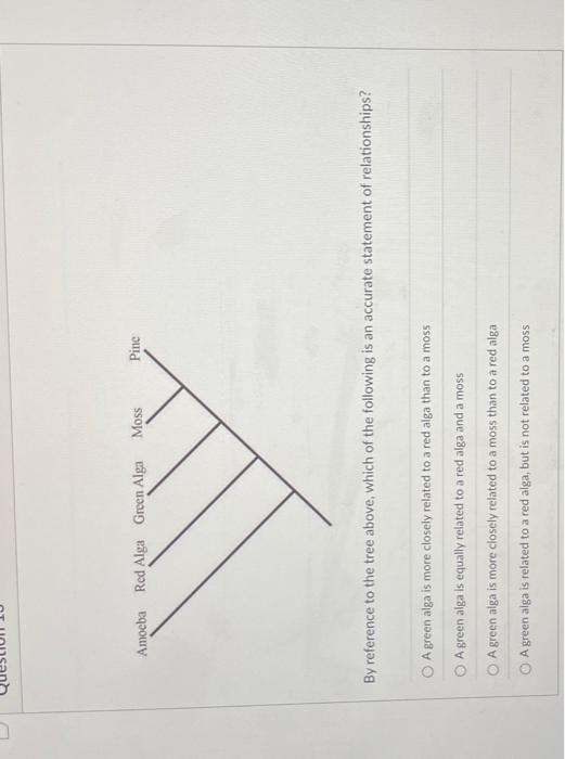 Which Of The Following Choices Depicts The Correct Way To Write The Scientific Name Of The Coffee Plant A Coffea Canep 3