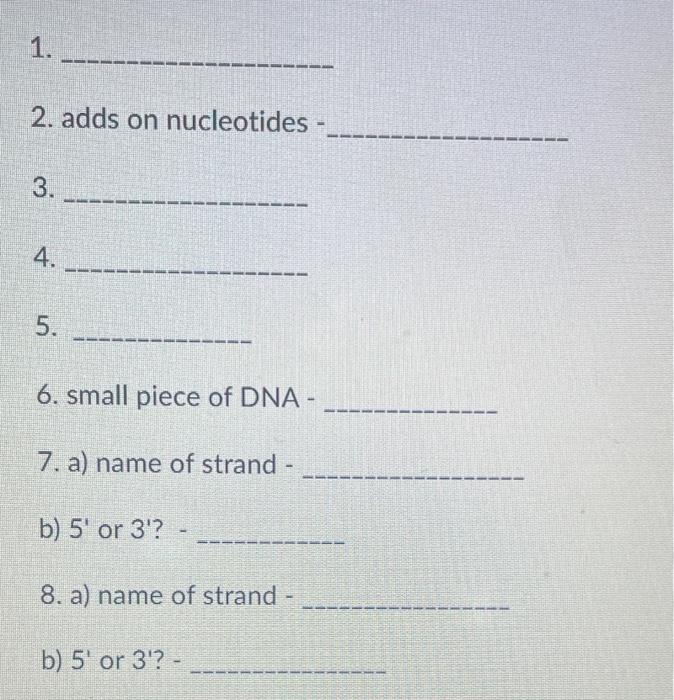 1 2 Adds On Nucleotides 3 4 5 6 Small Piece Of Dna 7 A Name Of Strand B 5 Or 3 8 A Name Of Strand B 5 2