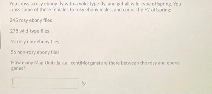 You Cross A Rosy Ebony Fly With A Wild Type Fly And Get All Wild Type Offspring You Cross Some Of These Females To Ros 1