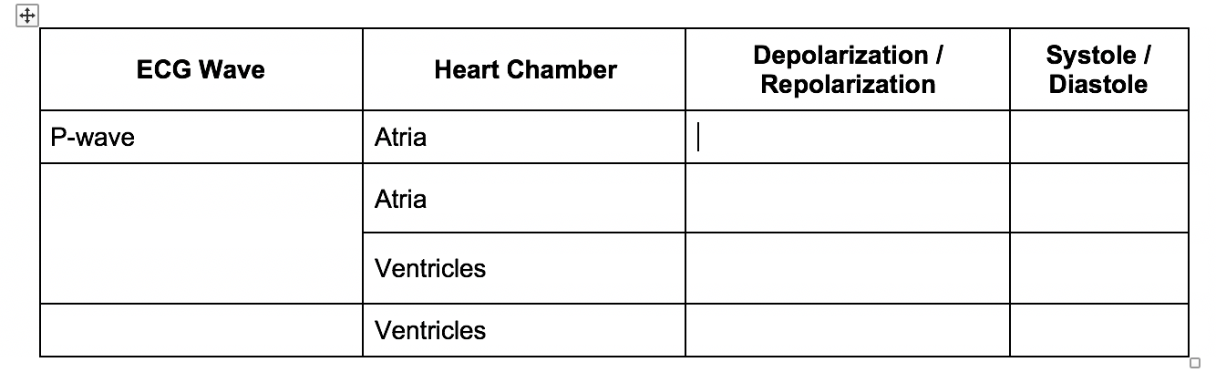 P Wave Ecg Wave Atria Atria Heart Chamber Ventricles Ventricles Depolarization Repolarization Systole Diastole 1