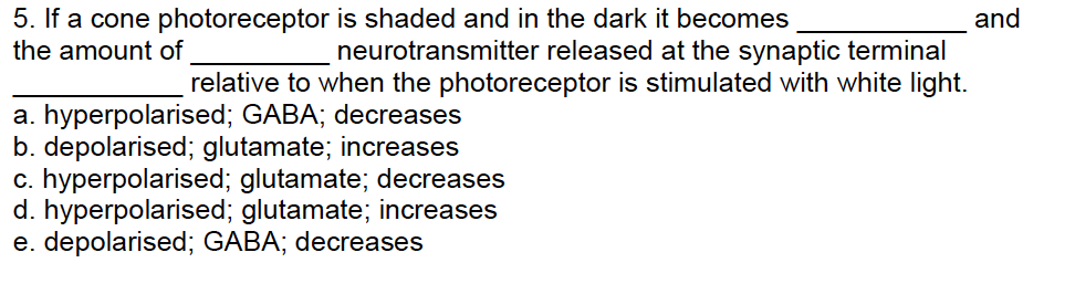 5 If A Cone Photoreceptor The Amount Of Is Shaded And In The Dark It Becomes Neurotransmitter Released At The Synaptic 1