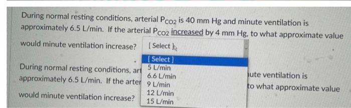 During Normal Resting Conditions Arterial Poz Is 100 Mm Hg And Minute Ventilation Is Approximately 6 5 L Min If The Ar 2