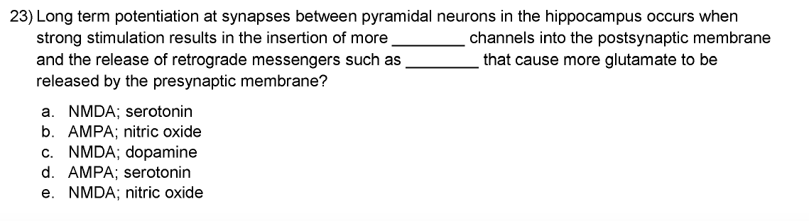 23 Long Term Potentiation At Synapses Between Pyramidal Neurons In The Hippocampus Occurs When Strong Stimulation Resul 1