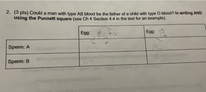 2 3 Pts Could A Man With Type Ab Blood Be The Father Of A Child With Type O Blood In Writing And Using The Punnett S 1