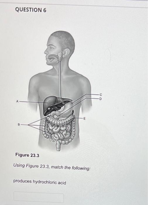 Question 6 8 E Figure 23 3 Using Figure 23 3 Match The Following Produces Hydrochloric Acid 1