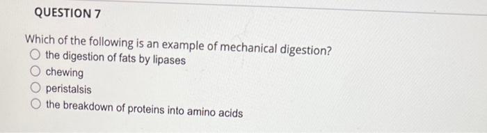 Question 7 Which Of The Following Is An Example Of Mechanical Digestion The Digestion Of Fats By Lipases Chewing Perist 1