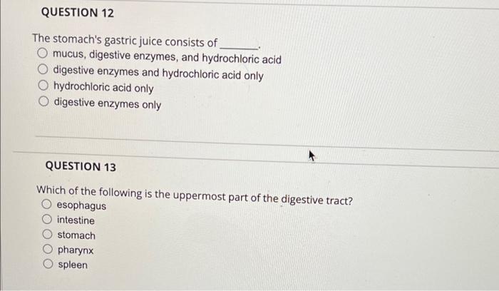 Question 12 The Stomach S Gastric Juice Consists Of Mucus Digestive Enzymes And Hydrochloric Acid Digestive Enzymes An 1