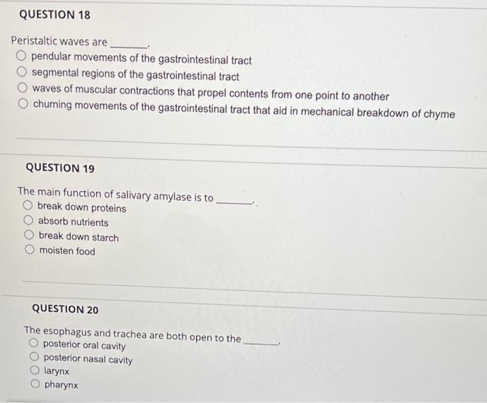 Question 18 Peristaltic Waves Are O Pendular Movements Of The Gastrointestinal Tract Segmental Regions Of The Gastrointe 1